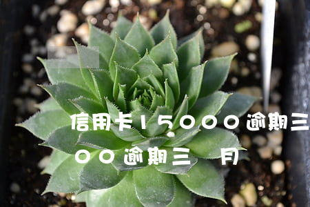 信用卡15000逾期三個月(信用卡18000逾期三個月)