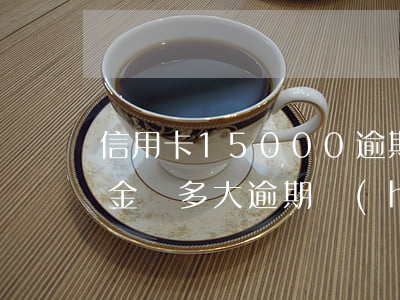 信用卡15000逾期多久銀行起訴（信用卡金額多大逾期會(huì)被起訴）