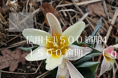 信用卡1500逾期4個(gè)月(信用卡1500逾期三個(gè)月)