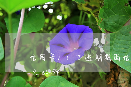 信用卡15万逾期截图(信用卡逾期超5万多久起诉)