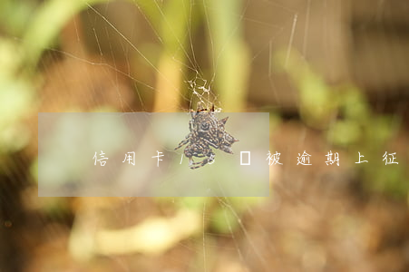 信用卡15塊被逾期上征信嗎