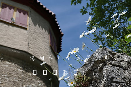 信用卡15天算逾期么（信用卡逾期15天多長時間能復(fù)原）