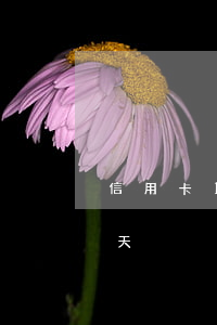 信用卡15天算逾期么（信用卡逾期超過45天）