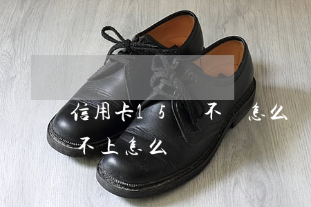 信用卡15萬不還怎么辦(信用卡五萬以上還不上怎么辦)