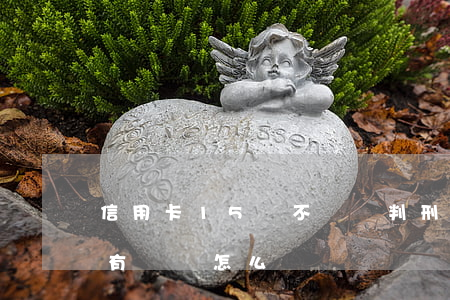 信用卡15萬不還會判刑嗎(信用卡15萬沒有還會怎么辦)
