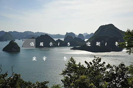 信用卡15萬逾期1年了(信用卡逾期15萬坐牢幾年)