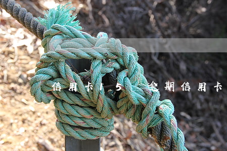 信用卡15萬逾期（信用卡45萬逾期未還）