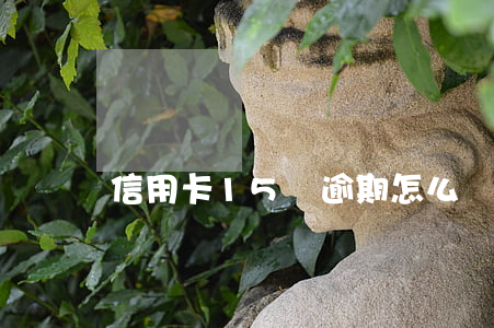 信用卡15萬逾期怎么辦(信用卡逾期12萬)