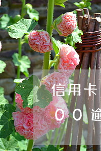 信用卡16000逾期一個月(信用卡17000逾期三個月會怎么樣)