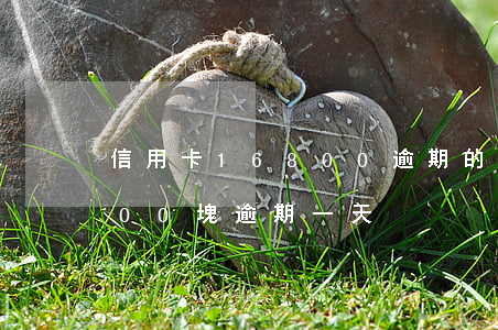 信用卡16800逾期的截圖(信用卡20000塊逾期一天)