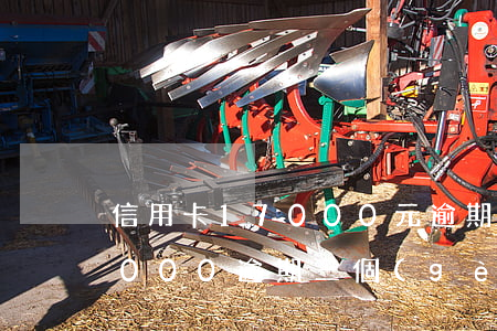 信用卡17000元逾期兩年-信用卡15000逾期三個(gè)月