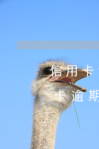 信用卡17000逾期一年 收到律師函（信用卡逾期收到律師函后多久沒還會被拘留）
