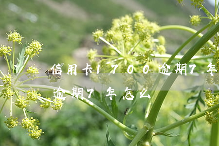 信用卡1700逾期7年-信用卡1700逾期7年怎么還