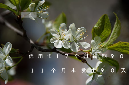 信用卡17个月逾期90天(信用卡5年逾期11个月,未发生90天内逾期月)