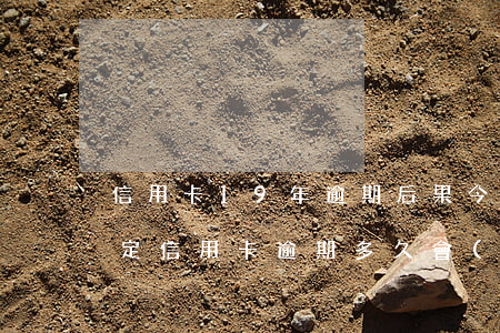信用卡19年逾期后果(今年新規(guī)定信用卡逾期多久會(huì)起訴)