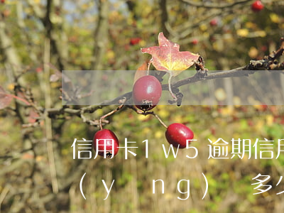 信用卡1w5逾期 信用卡5萬逾期一個月應(yīng)還多少