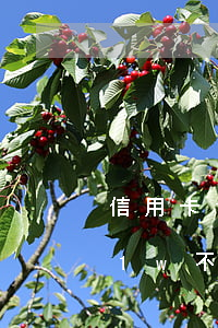 信用卡1w不還會(huì)怎么樣(信用卡1w不還會(huì)怎么樣)