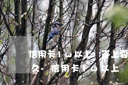信用卡1w以上還不上要關(guān)好久-信用卡1w以上還不上要關(guān)好久的卡