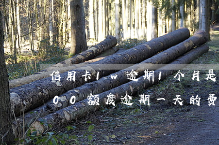 信用卡1w逾期1个月是多少(信用卡20000额度逾期一天的费用多少)