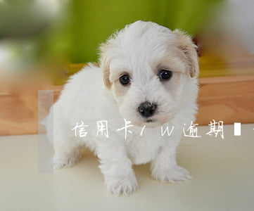 信用卡1w逾期幾年會起訴