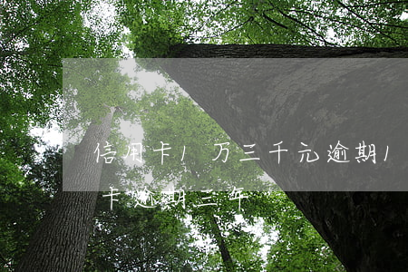 信用卡1万三千元逾期180天 一万的信用卡逾期三年