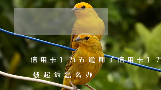 信用卡1万五逾期了(信用卡1万五逾期一年被起诉怎么办)