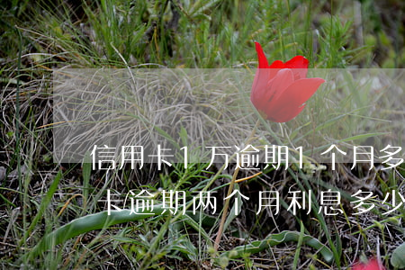 信用卡1万逾期1个月多少利息(一万元信用卡逾期两个月利息多少)