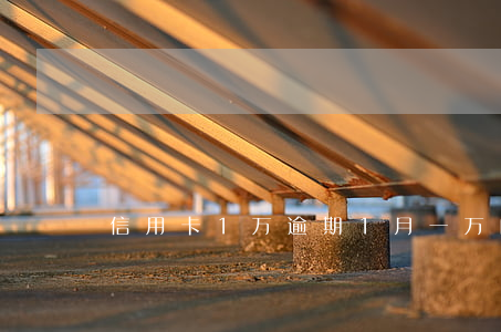 信用卡1万逾期1月(一万的信用卡逾期两年)