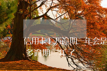 信用卡1万逾期一年会是多少(欠信用卡一万多逾期一年了)