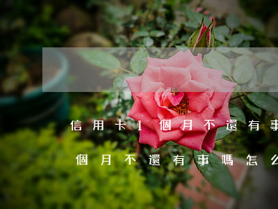 信用卡1個月不還有事嗎怎么辦-信用卡1個月不還有事嗎怎么辦理