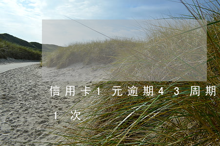 信用卡1元逾期43周期(信用卡無意逾期了1次)
