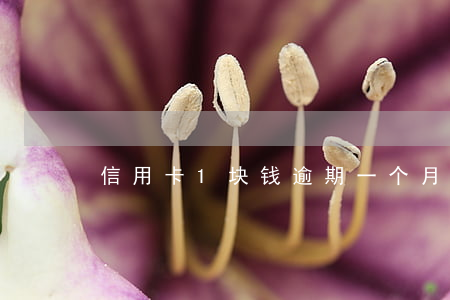 信用卡1块钱逾期一个月（信用卡逾期1分钱）