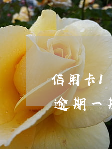 信用卡1块钱逾期不能贷款吗?（几块钱信用卡逾期一期了还能用吗）