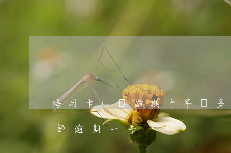 信用卡1塊逾期十年還多少(10張信用卡全部逾期一年)