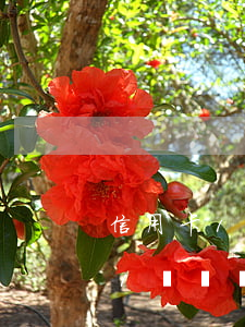 信用卡1塊錢會(huì)算逾期嗎(信用卡1塊錢會(huì)算逾期嗎怎么辦)