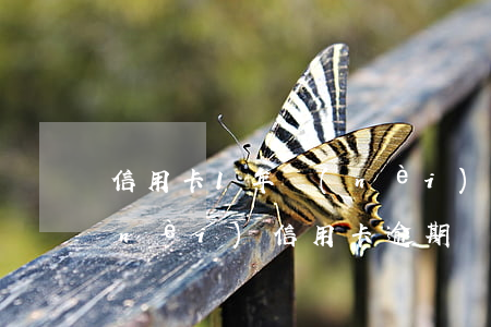 信用卡1年內(nèi)兩次逾期(一年內(nèi)信用卡逾期兩次)