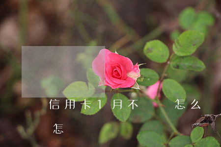 信用卡1月不還會怎么樣(信用卡一月不還會怎樣)