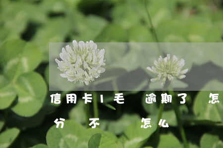 信用卡1毛錢逾期了會怎樣還款(欠信用卡一分錢不還會怎么樣)