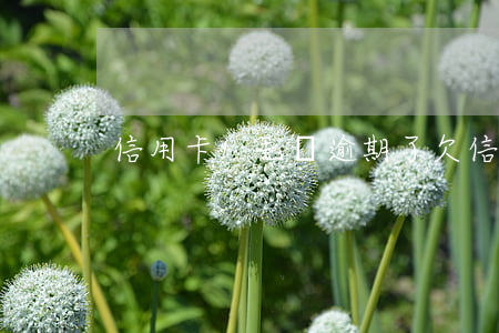 信用卡1毛錢逾期了（欠信用卡1角錢）