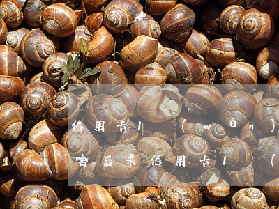 信用卡1萬(wàn)不還會(huì)有啥后果(信用卡1萬(wàn)不還會(huì)怎么樣)