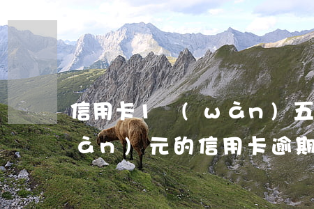 信用卡1萬(wàn)五逾期一年(1萬(wàn)元的信用卡逾期1年會(huì)怎樣)