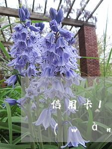 信用卡1萬(wàn)五逾期了(信用卡1萬(wàn)五逾期一年被起訴怎么辦)