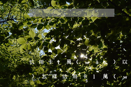 信用卡1萬(wàn)以下不還會(huì)怎樣(信用卡1萬(wàn)5不還會(huì)有什么后果)