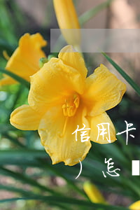 信用卡1萬(wàn)逾期一年會(huì)怎樣(欠信用卡一萬(wàn)多逾期一年了)
