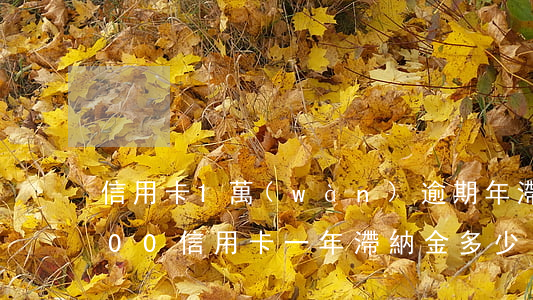 信用卡1萬(wàn)逾期年滯納金(10000信用卡一年滯納金多少)
