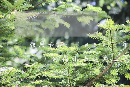信用卡1萬(wàn)逾期幾年(一萬(wàn)的信用卡逾期三年會(huì)怎樣)