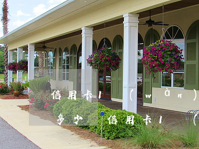 信用卡1萬(wàn)逾期費(fèi)用多少錢(信用卡1萬(wàn)逾期一年是多少錢)