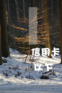 信用卡1萬7算惡意透支嗎(惡意透支一萬元以下)