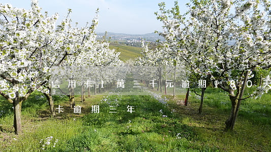 信用卡1萬三千元逾期180天 一萬的信用卡逾期三年