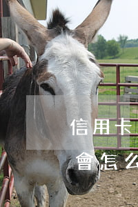 信用卡1萬不還有什么后果(信用卡1萬不還會怎么樣)
